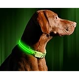Illumiseen LED-Hundehalsband in 6 Größen / 6 Farben - Größe XXS / Grün