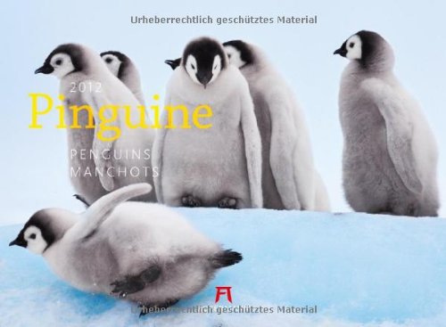 Pinguine 2012