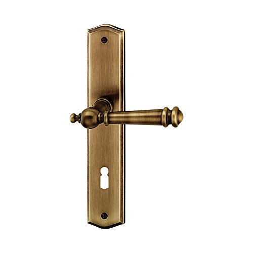 Preisvergleich Produktbild Schössmetall Attila, Türgriff Langschild, BB-Ausführung, 02870020