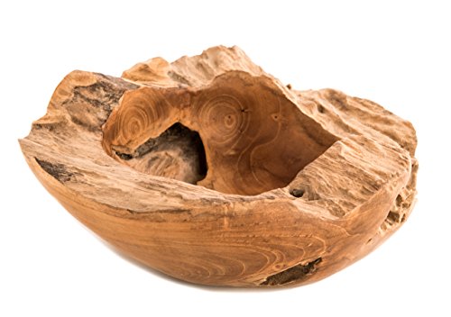 WINDALF Rustikale Holzschale ~ THORA ~ Ø 28 cm - Schmuck-Schale - Handgearbeitet aus Wurzelholz (s612-2)