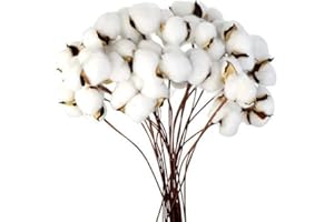 Ancokig Tallo de algodón seco natural, relleno de flores artificiales, arreglo floral para bricolaje, decoración de fiesta en el hogar (paquete de 20 unidades)