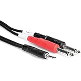 HosaTech CMP-159 10ft 3.5mm TRS to Dual 1/4 inch TS Stereo Breakout Cable