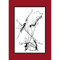 geschmackvolle Trauerkarten, Trauerkarten mit Umschlag, Kondolenzkarte, Trauerkarten 2er Set, Trauerkarten blanko, stilvolle Trauerkarten, Kondolenzkarten mit Umschlag