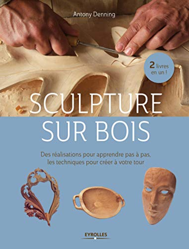 Télécharger Sculpture sur bois : Des réalisations pour apprendre pas à pas - Les techniques pour créer à vot PDF