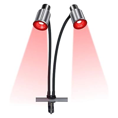 DGYAO Home Use Lamp Adjustable 2 Beads
