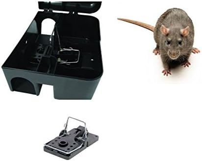 1 X Rat Break back Snap Trap &amp; 1 Rat bait protector Box - No Poison Solution