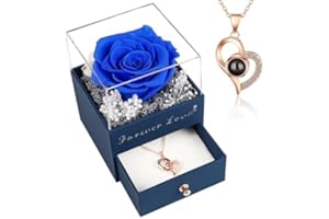 BEFERR Mothers Day Artificial Flowers Gifts for Mum Preserved Real Rose with Necklace Birthday Gifts for Women Eternal Rose Gifts for Mum Her Wife Girlfriend Present Ideas on Mother's Day Anniversary Blue