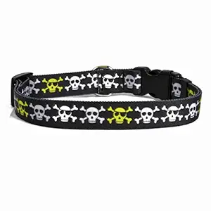 Yellow Dog Design Boy Skulls Dog Collar 3/4