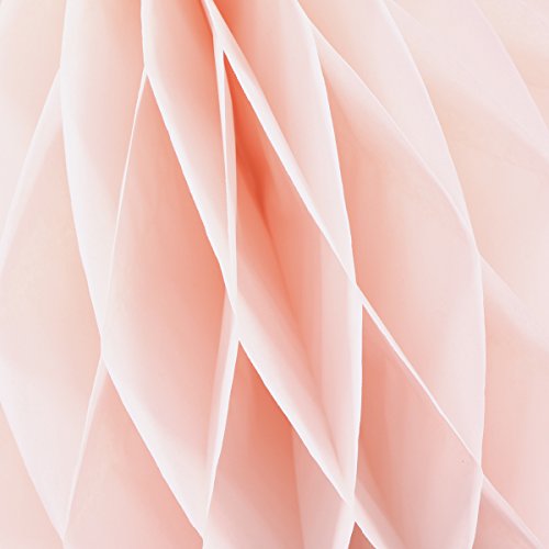 NUOLUX Papier Bienenwabe Kugeln Fan Laternen Papier Pompons für Party Dekoration, 12pcs - 7
