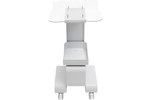 RAINWEEL Beauty Salon Trolley Salonwagen Kosmetikwagen Tragfähigkeit bis 20kg Gerätewagen mit 4 Universalräder, 37 * 47cm Panel und 20 * 32cm Aufbewahrungskorb