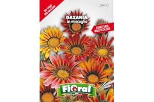 L'ORTOLANO Sementi da fiore di qualità in bustina per uso amatoriale (GAZANIA IN MISCUGLIO)