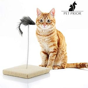 LCQI Juguetes para Gatos Plumas Entretenimiento Mascotas