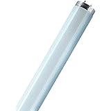 25 Stück Leuchtstofflampen L 58 Watt 865 - Osram
