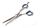 CANDURE® - Professional Hairdressing Barber Salon Scissors 5.5 inch, Top Quality, Plus Scissors Pouch
