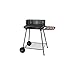Produktbild Grill Holzkohlegrill Rimini somagic