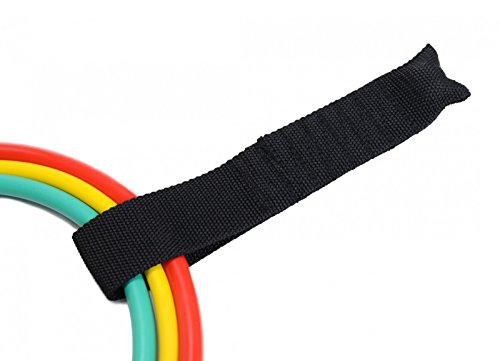 Dittmann Tube-/Expander-Set, Level 1 – 3 inkl. Handgriffe, Türanker und Übungsanleitung - 4