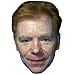 Produktbild David Caruso Maske aus Pappe