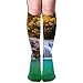 Produktbild jiantsk Waterfall In Thailand In Deep Forest with Sunbeam Women's Fashion Knee High Socks Casual Socks