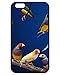 Price comparison product image Black Friday Promotions Best iPhone 6 Plus/iPhone 6s Plus Case Cover Skin For iPhone 6 Plus/iPhone 6s Plus(Gouldian Finch)