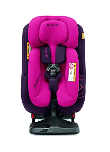 Concord Kinderautositz Reverso Plus (I-Size), Gruppe 0+, Kollektion 2016 - 6