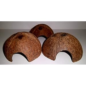 Kokosnusshöhle 3 Stück Sonderpreis