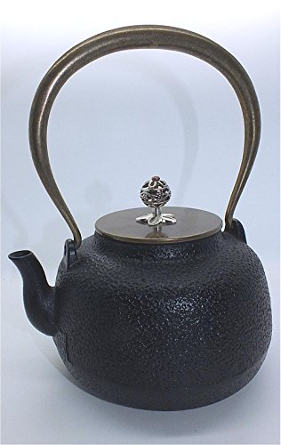 teeblume - Tetera de hierro fundido Enzhou 0,9 litros negro