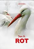 Tiere in ROT (Wandkalender 2018 DIN A2 hoch): Für ein rotes Ambiente - Tiere passend in Rot. (Monatskalender, 14 Seiten ) (CALVENDO Natur) [Kalender] [Apr 01, 2017] Schmidbauer, Heinz by 