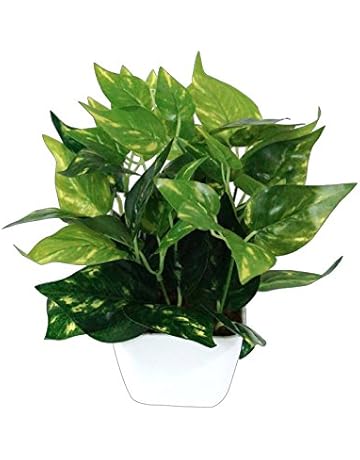 Artificial Plants Buy Artificial Plants Online At Best Prices In