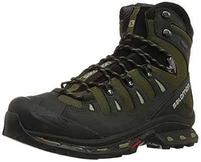Salomon Quest 4D 2 GTX, Bottines de randonnée homme, Vert (Iguana Green/Asphalt/Dark Titanium), 48 2/3