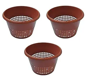 Orchid Pot/Hydroponic Plastic Pot 8-Inch, Brown (Set of 3 Pcs) TT Traders