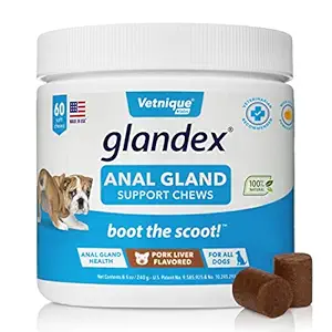 Glandex Anal Gland Soft Chew Treats with Pumpkin for Dogs 60ct Chews with Digestive Enzymes, Probiotics Fiber Supplement for Dogs ?�� Vet Recommended - Boot The Scoot (Pork Liver) - by Vetnique Labs