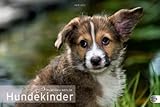 Hundekinder Posterkalender 2012 by