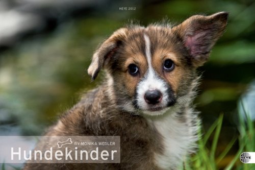 Hundekinder Posterkalender 2012