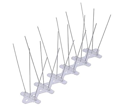 Tifanti anti-oiseaux en acier inoxydable – Keep Oiseaux pigeon et mouette noirs Always – Anti Bird et pigeons Spike en Pest Control