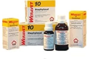 BIOKANOL PHARMA GMBH STAPHYLOSAL 10 Tropfen vet. 20 ml