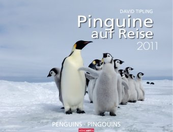 Pinguine auf Reise 2011 / Penguins 2011 / Pingouins 2011