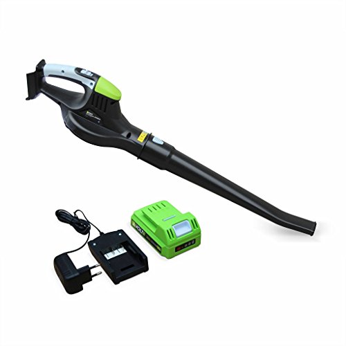 Alice's Garden - Souffleur de feuilles à batterie Lithium Ion 20V VOLTR,...