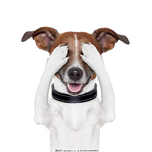 Smart presa UK Backture timer presa interruttore WiFi compatibile con Amazon Echo ALEXA app telecomando Timer elettrodomestico da IOS/Android Smartphone (supporta Ifttt) 2000.00W, 240.00V