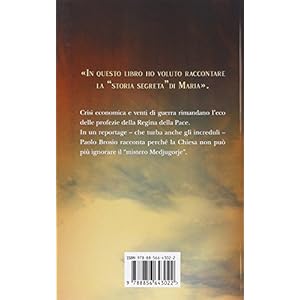 I misteri di Maria. Da Saragozza a Medjugorje profezie e segreti che nessuno può ign