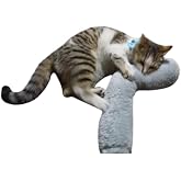 Tineke Cat Toy Hug Pillow Sleeping Toy Cat Herb 30 Cm Plush (1 Piece) (GRI)