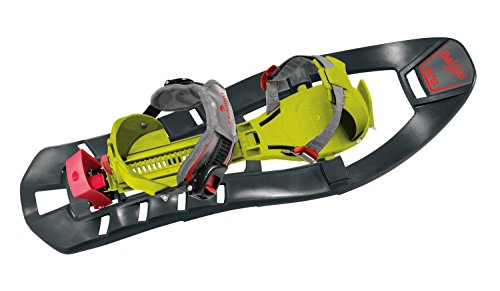 Ferrino Pinter Special, Ciaspole unisex-adulto, Unisex adulto, Pinter 