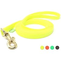 [Gesponsert]5m gelbe Hundeleine, große Hunde | Biothane | geprüft 250kg | Handschlaufe | vernäht, massiver Messingkarabiner