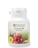 Vitamin B6 (Pyridoxine) 100mg x 90 capsules - Magnesium Stearate Free!