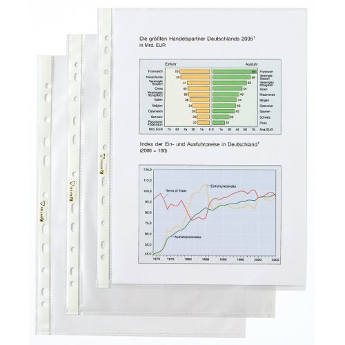 Hetzel 22457490 - Fundas perforadas transparentes DIN A4 100 unidades polipropileno Hetzel 22457490 - Fundas perforadas transparentes DIN A4 100 unidades polipropileno