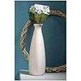 SPHINX Triangular Shape Botle Ceramic Vase, Flower Vase, Pampas Grass Vase, Vase for Money Plant Live Plants, Centrepiece Decor for Home, Office, or Gifts - (Height 9 Inches, Off White)