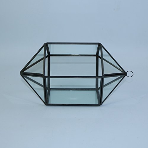 MagiDeal Modern 18-Seitig Hängeblumentopf Glas Geometric Blumentopf Blumen Pflanzen Vase Box Terrarium für Haus Wohnzimmer Garten Deko - 5