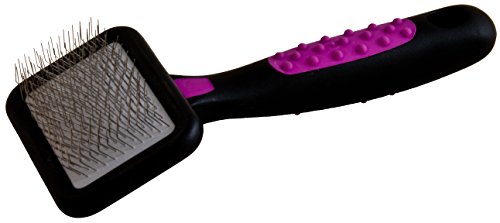 KW SMART Cepillo para mascotas, pequeño, 6 x 14 cm