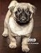 Produktbild 2019 Daily Planner: Academic Hourly Organizer In 15 Minute Interval; French Bulldog Front Cover; Appointment Calendar With Address Book & Note Section; Monthly & Weekly Goals Journal With Quotes