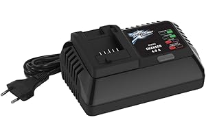 RB&G Active Energy - Caricatore universale per batteria per attrezzi da giardino per prodotti Aldi