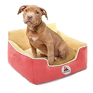 TENKO JR. Dog Bed for Medium and Small Size Dogs, Removable and Washable Pillow, pet-Safe Materials, Medium Rectangle Dog Bed Suitable for All Seasons and Travel-Friendly.
